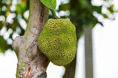 PS发布会：EA魔法射击《不朽者传奇》新预告片